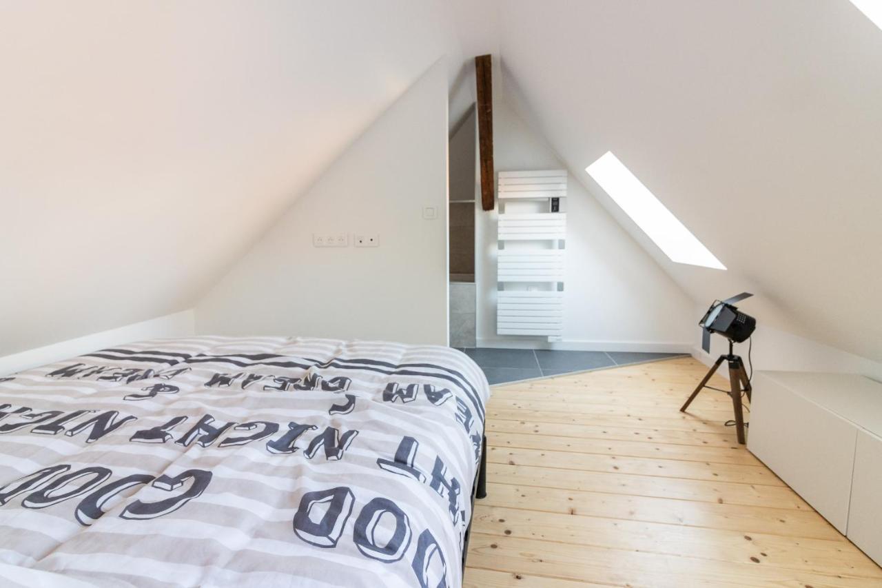 Magnifique Appartement Duplex Climatise De 40M² Nancy Exterior photo